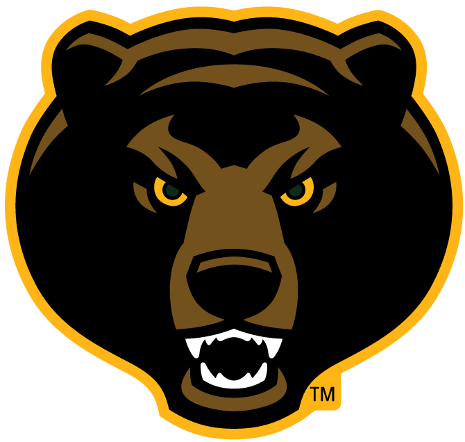 Baylor Bears 2005-Pres Alternate Logo t shirts iron on transfers v6